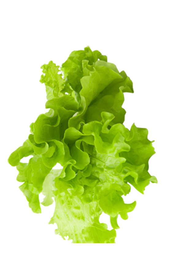 maan